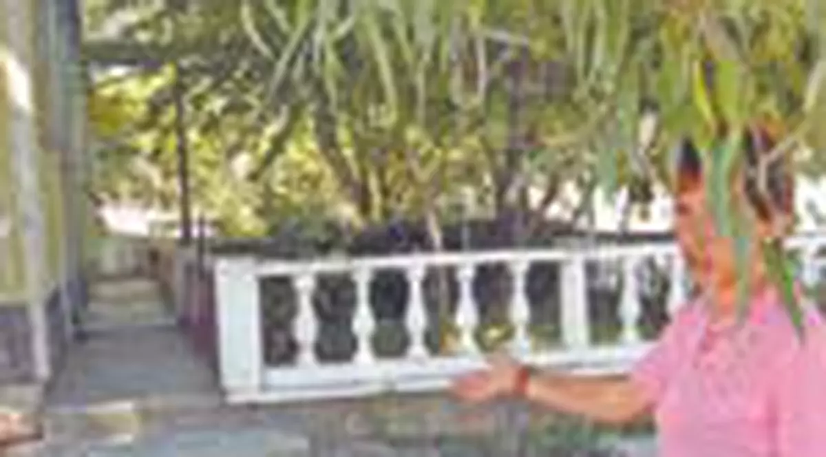 'I-au taiat ca pe porci'