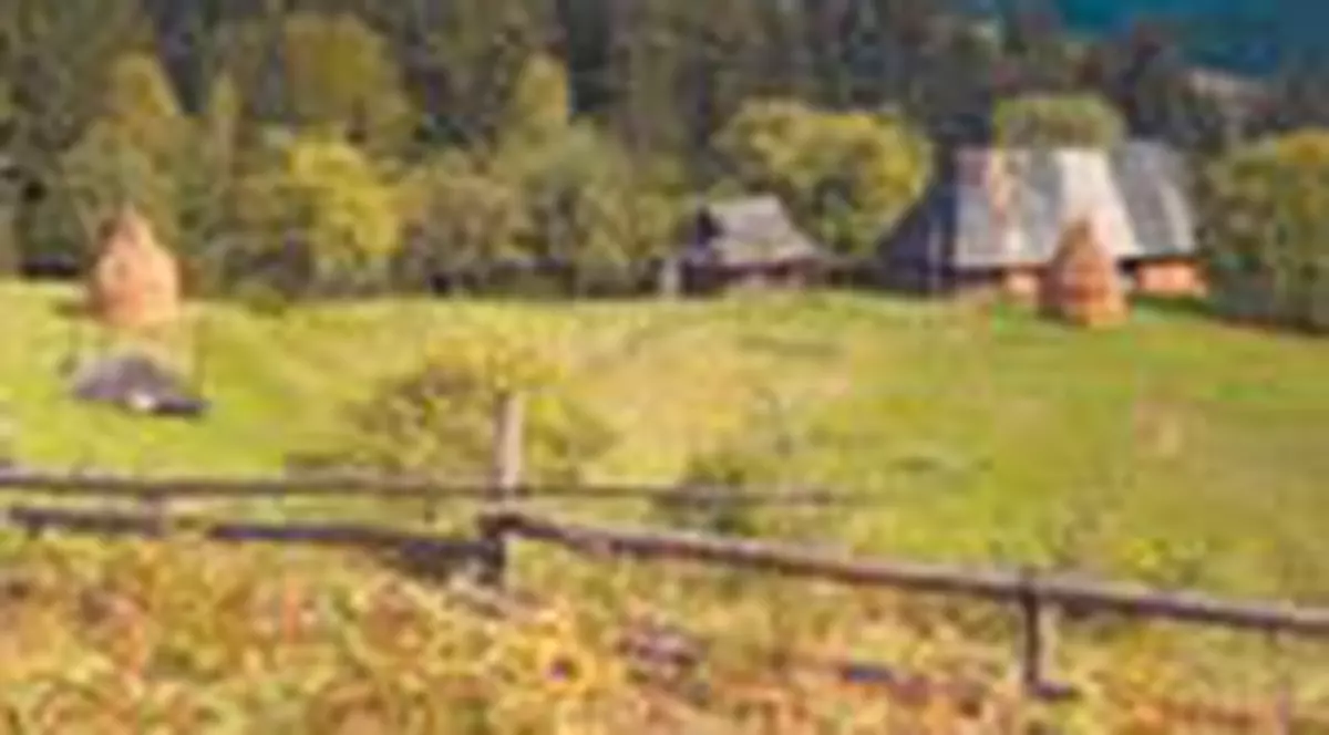 Englezii sunt innebuniti dupa Transilvania