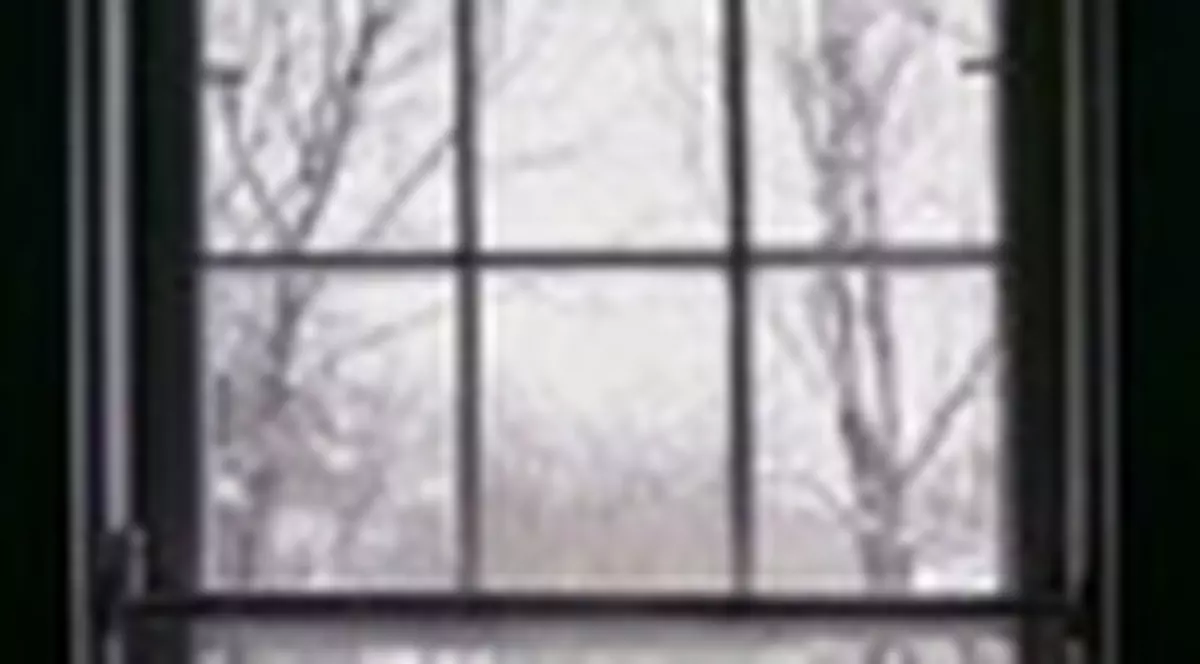 'Naluciri', aparitie noua la Editura Humanitas