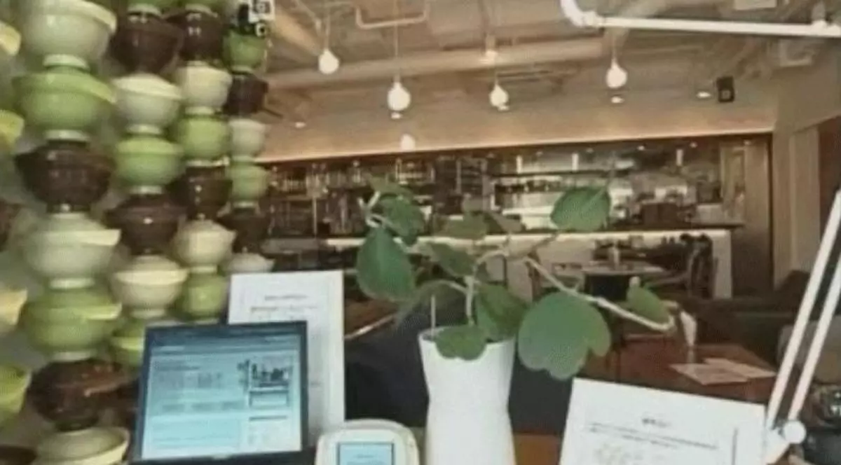 Planta care scrie un blog