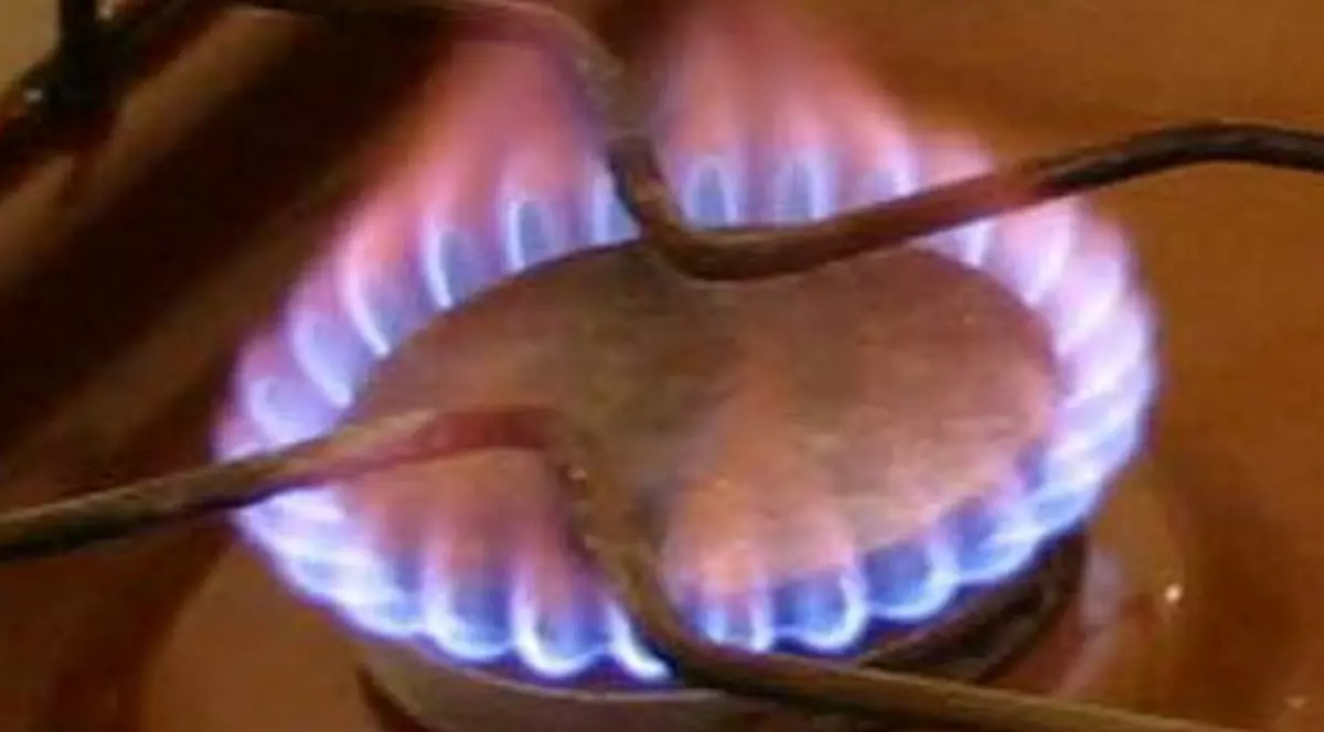 Distrigaz cere din nou creşterea preţului gazelor