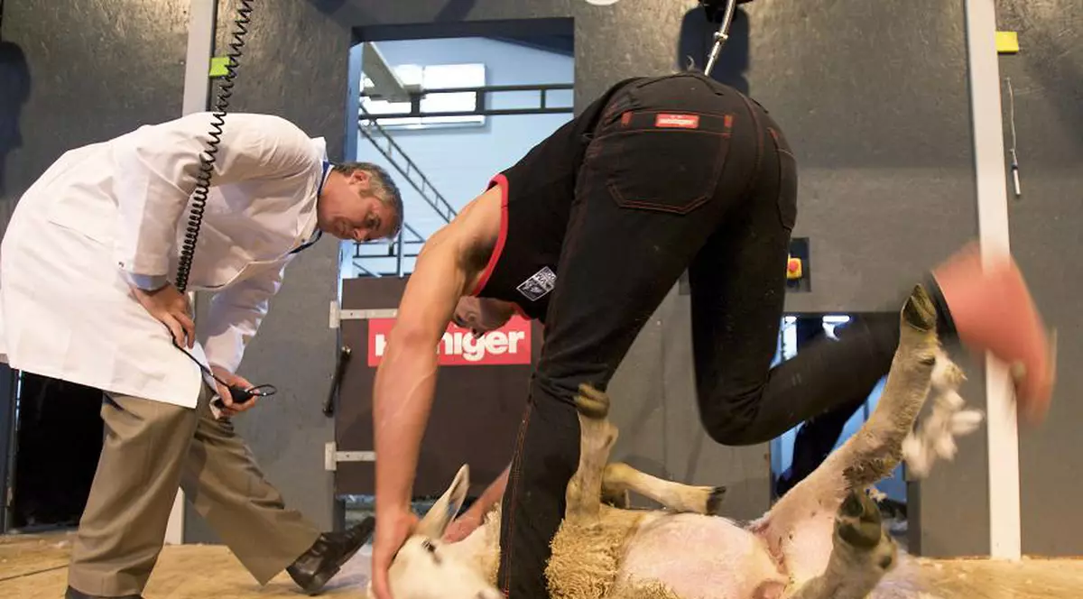 Concurs de tuns oile în Norvegia