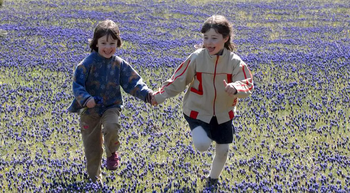 Muzica şi locurile ”sigure” te scapă de depresie