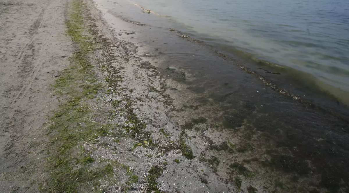 A vrut să-şi pună capăt zilelor aruncându-se în mare