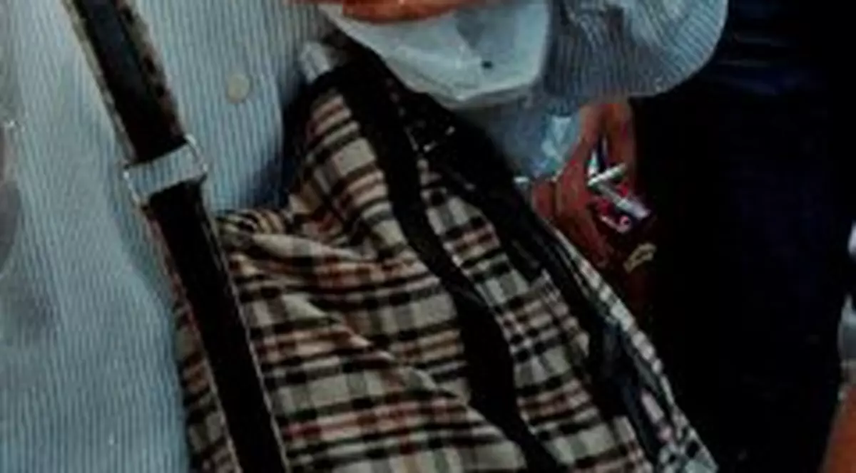 Hoţi fugăriţi de o bunicuţă!