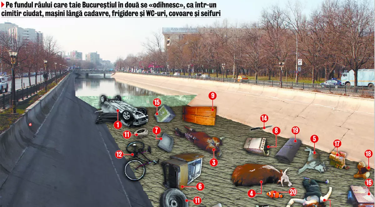 În ce hal a ajuns Dâmboviţa!