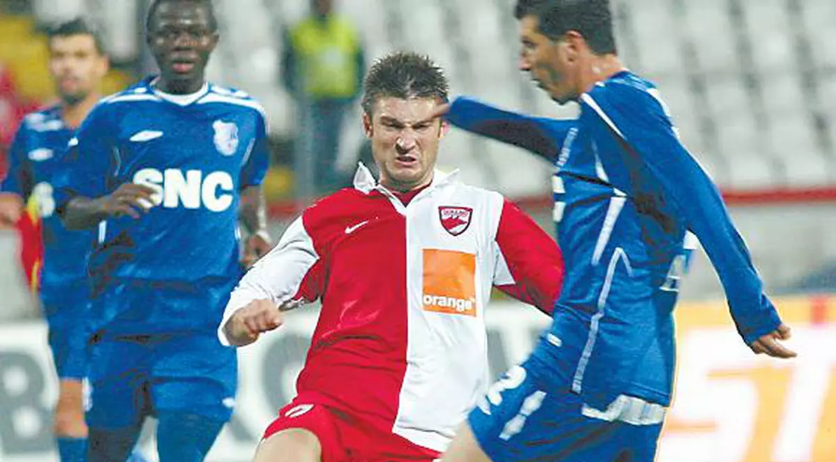 De 1.000 de ori câini