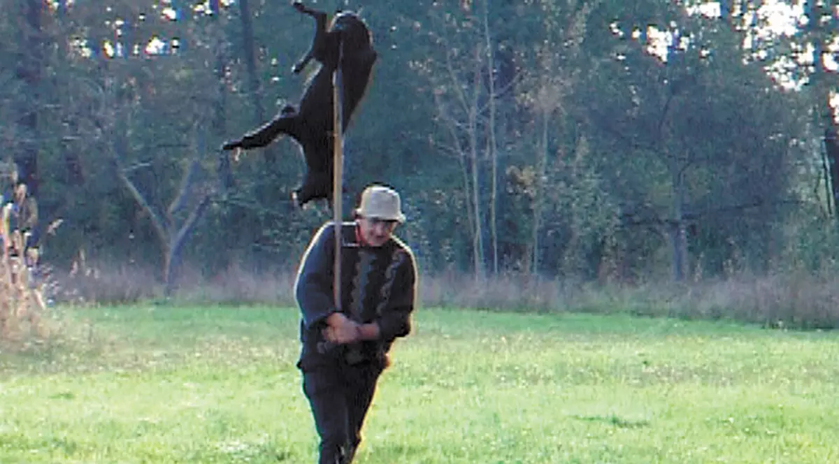 Câine ucigaş de oi, vânat cu furca