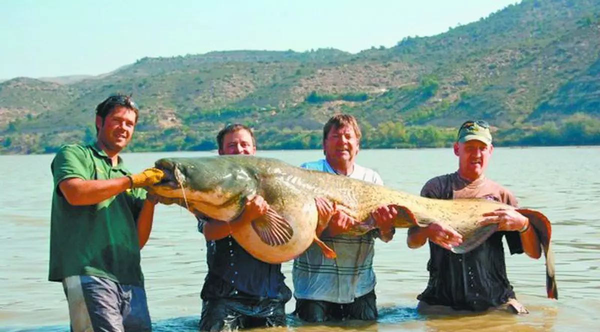 A prins un somn de 102 kilograme