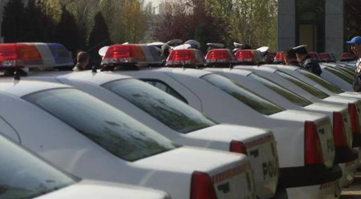 Scandalos: Loganuri de 78.750 € bucata!