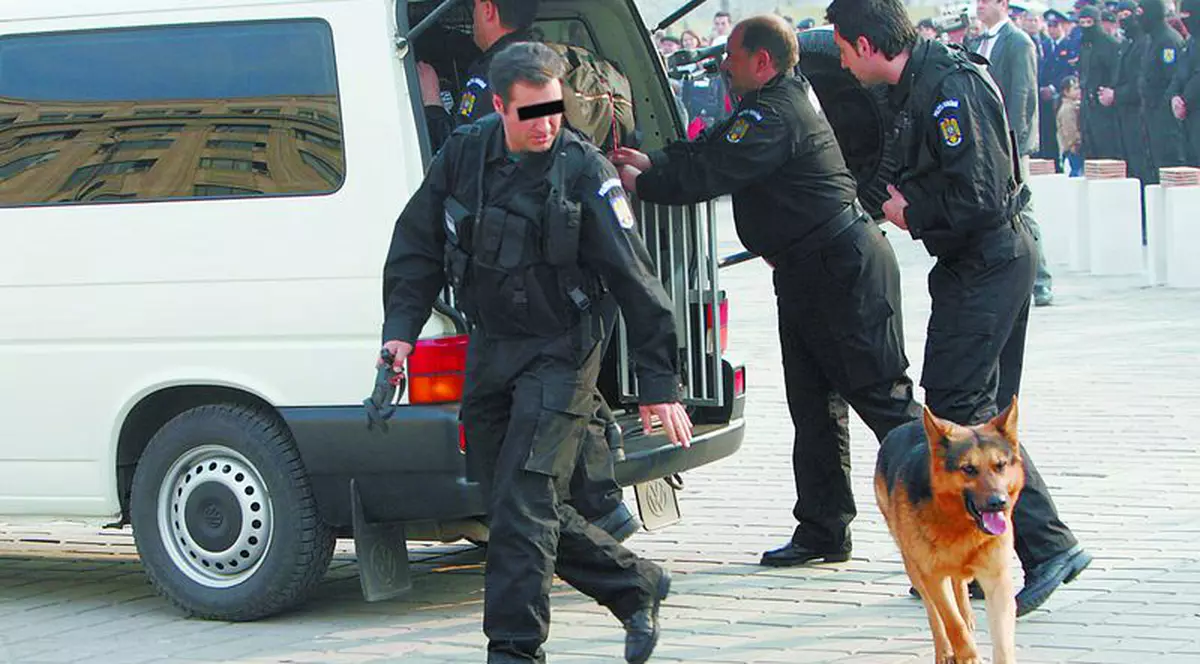 20 000 de lei, o cuşcă de câine