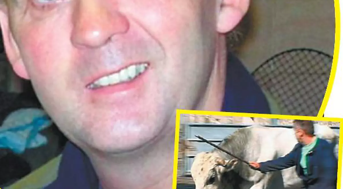 L-a călcat taurul pe cap