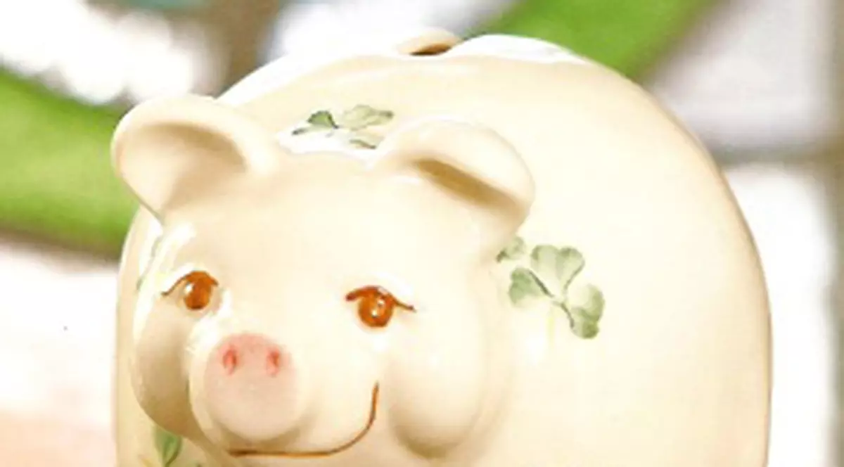 Puşculiţele-purcel, noile ”ţinte” ale hoţilor americani