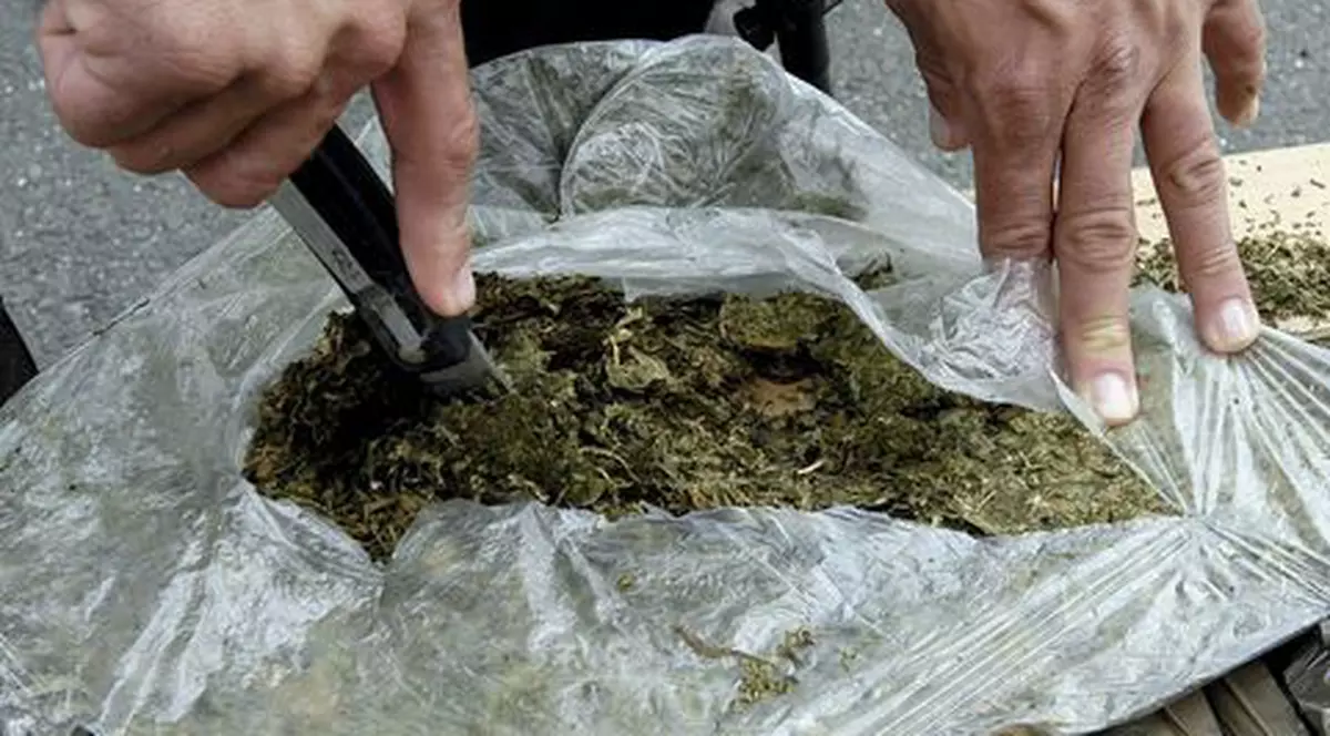 Traficant de droguri la 7 ani