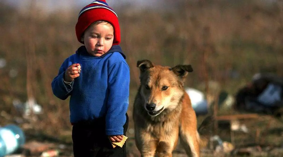 Copiii romilor din România câştigă anual 23 de milioane de euro în Marea Britanie