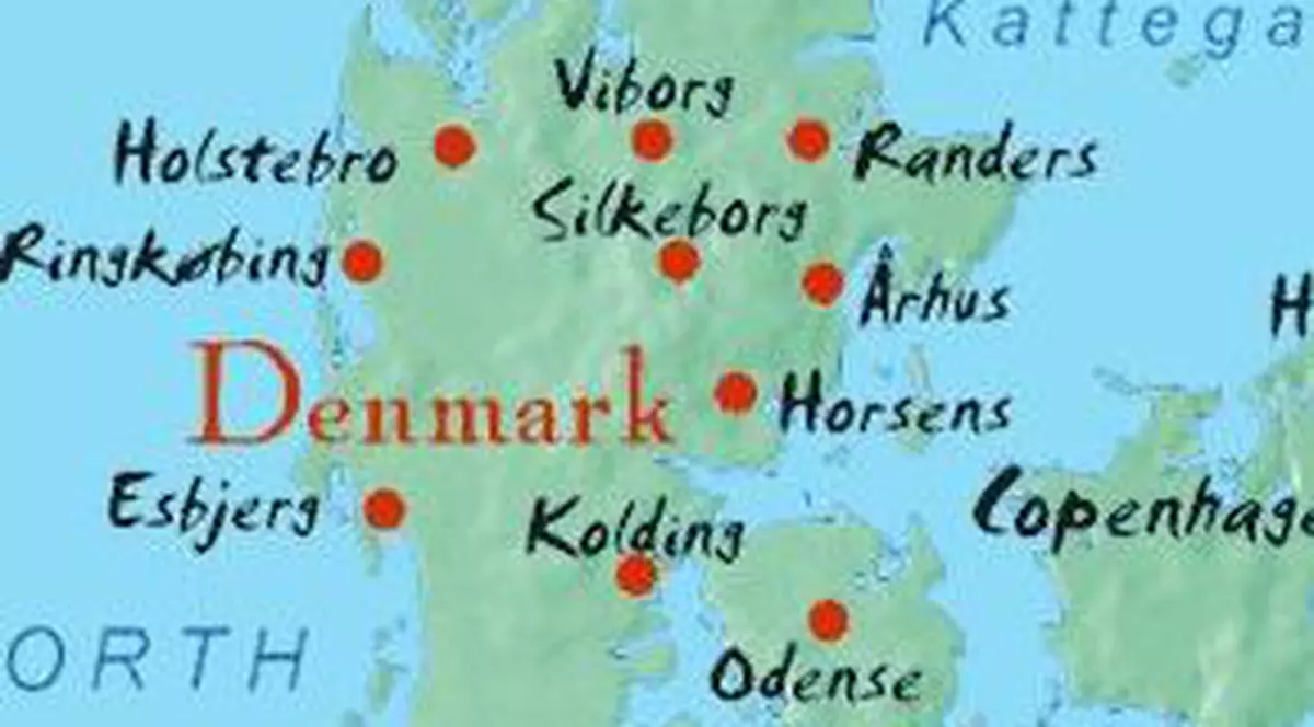 Cinci români bănuiţi de crimă, arestaţi în Danemarca