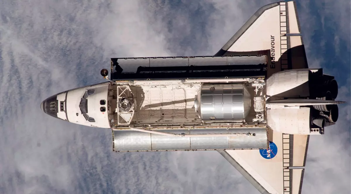 Unul dintre păianjenii trimişi în spaţiu a dispărut