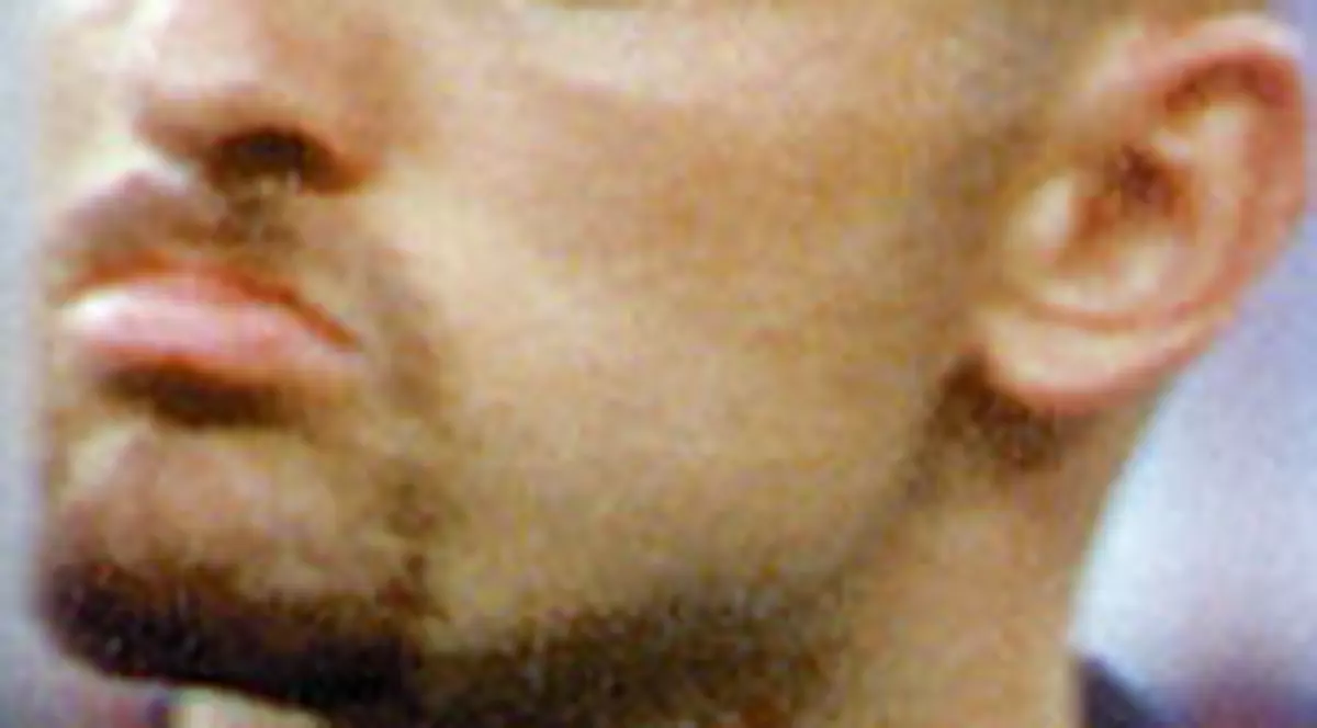 Divorţul lui Stelea, amânat