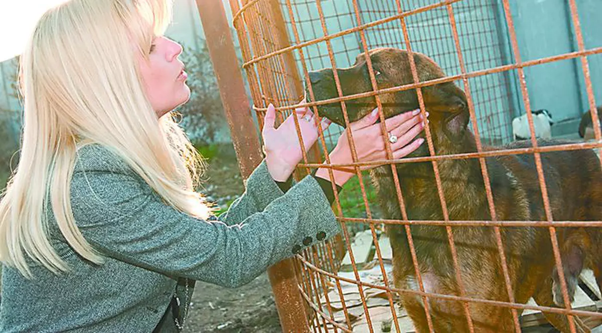 Elena Udrea, în vizită la adăpostul de câini «Zdreanţă»