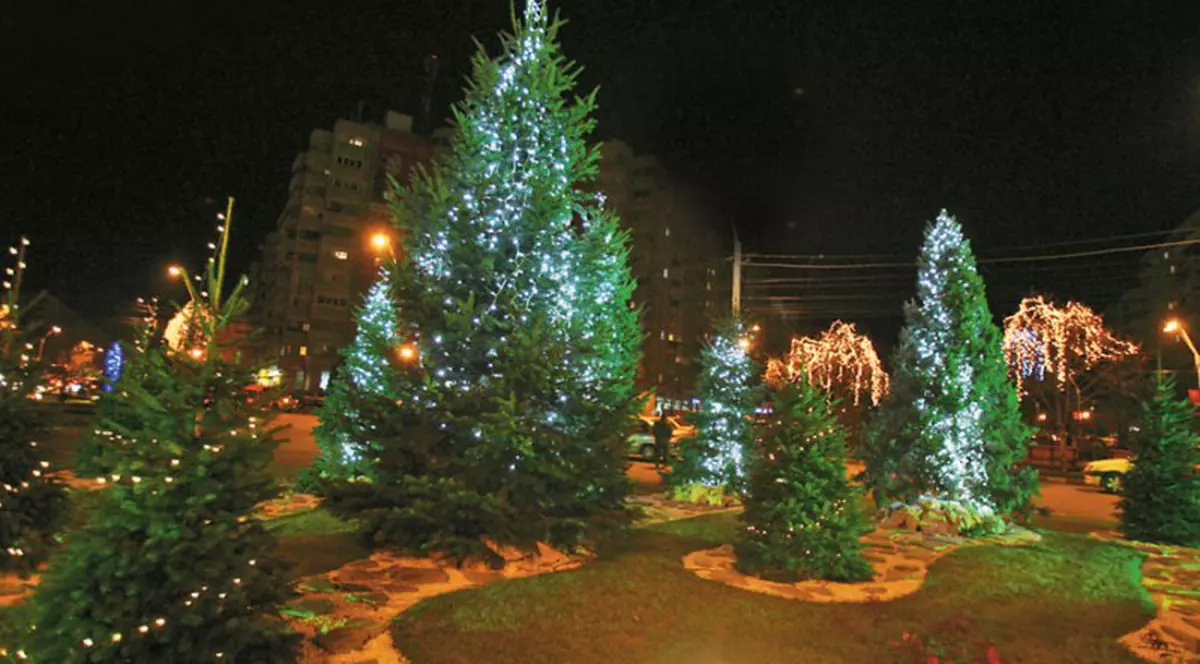 Primii brazi împodobiţi din Capitală