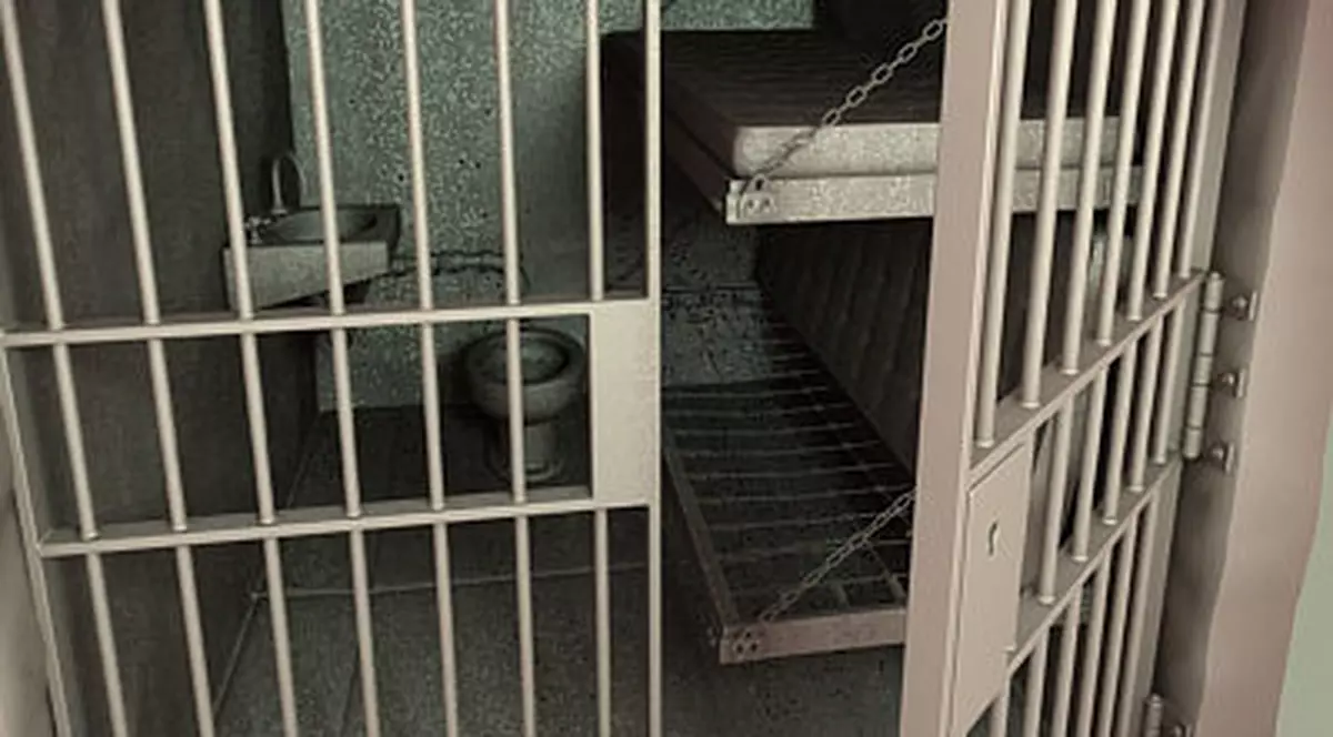 O româncă a fost condamnată pentru răpirea unor britanici