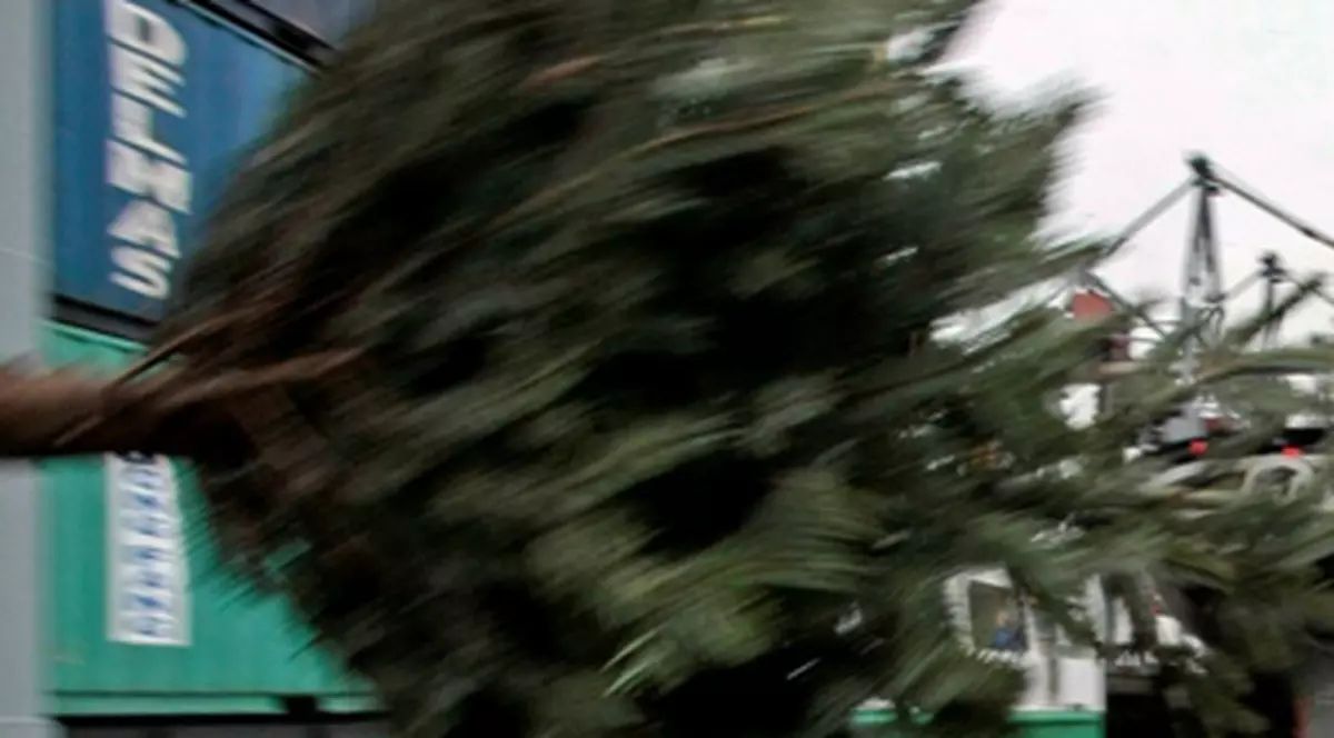 Şi-a atacat tatăl cu un brad de Crăciun