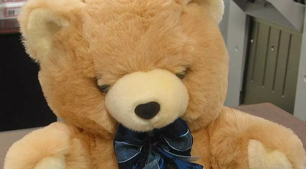 Au fost lansaţi în spaţiu doi ursuleţi...de pluş