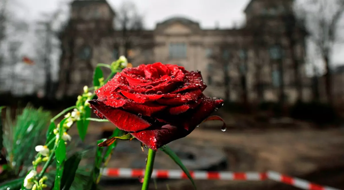 Țiganii asupriţi de nazişti vor avea monument în Berlin