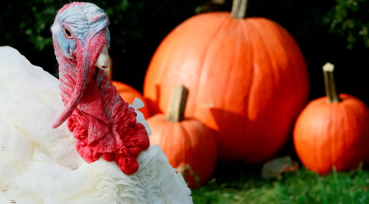 A rămas în viaţă pentru că e prea urât