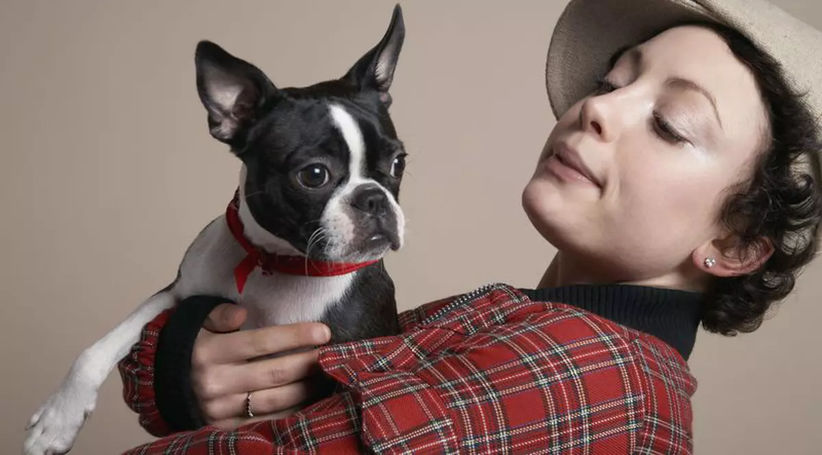 Aruncarea băţului dăunează grav sănătăţii câinelui!