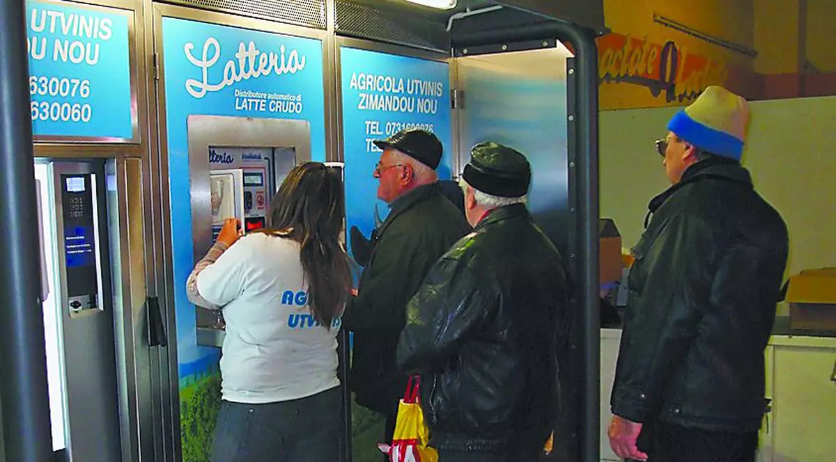 Au dat vaca pe un dozator de lapte