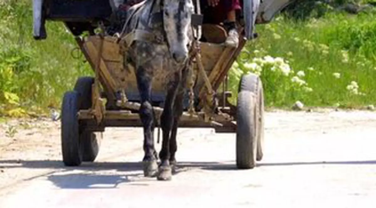 "Corbii" români, interzişi în Elveţia