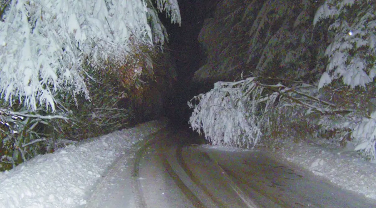 A murit de frig, pe malul unui pârâu