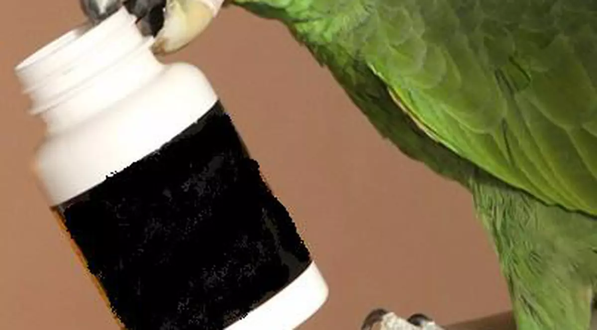 Papagalul gelos, tratat cu Prozac