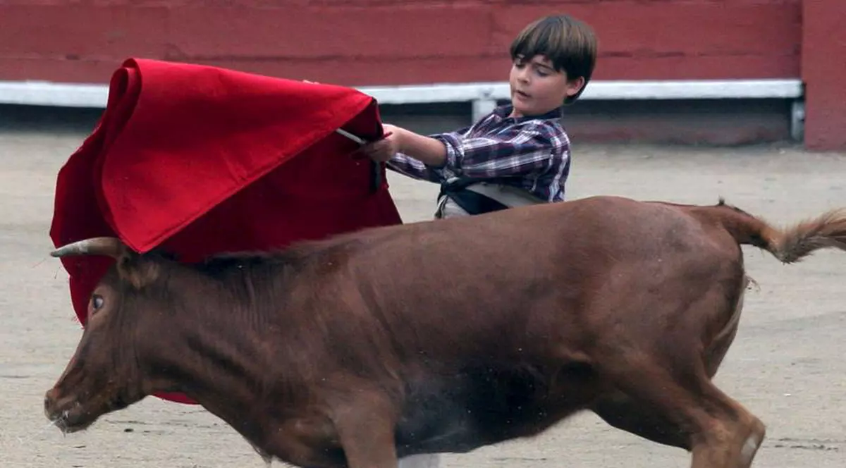 Un copil de 11 ani a ucis şase tauri