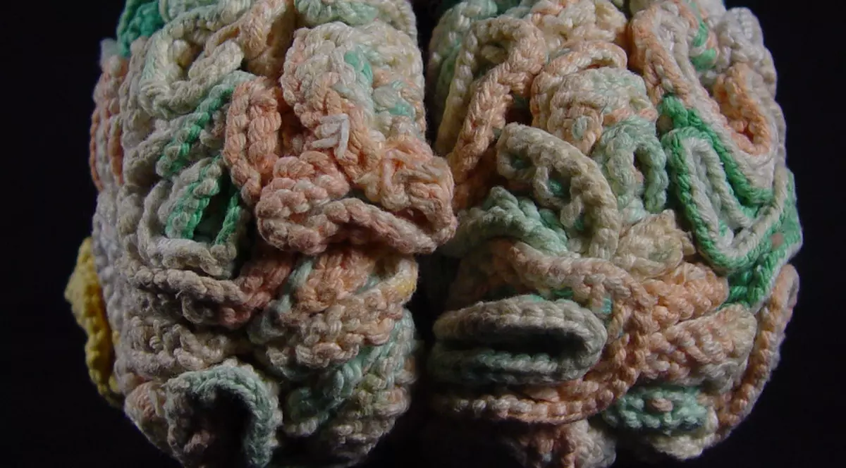 Creierul perfect e făcut din lână