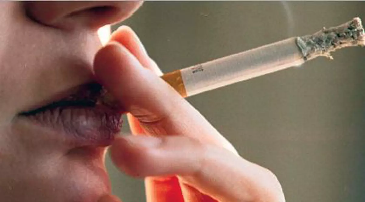 Spaţiile de fumat, la control!