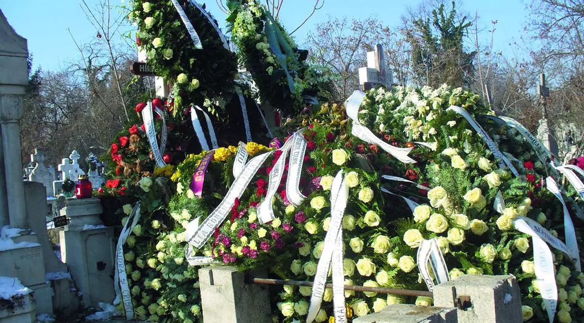 «Ne sfida în trafic!»