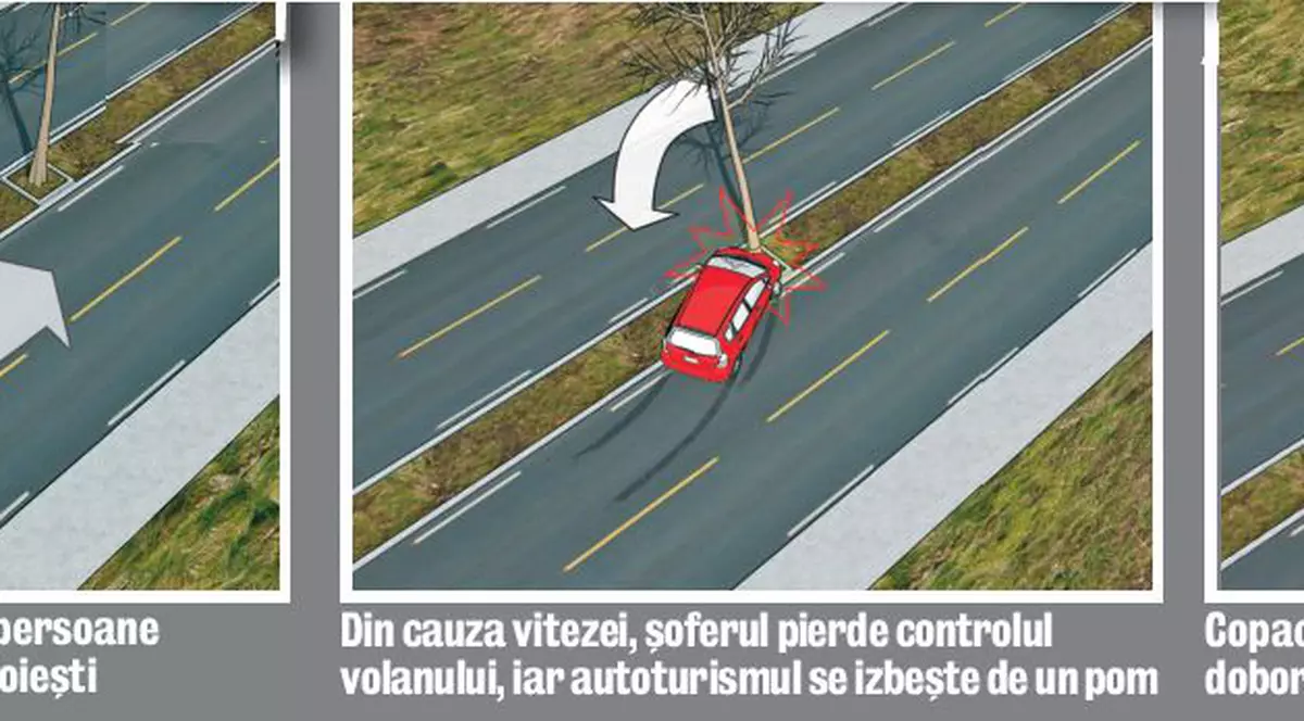 S-a trezit cu pomul pe maşină