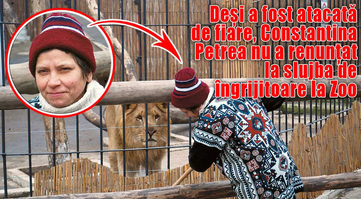 Îngrijeşte leii care au sfâşiat-o