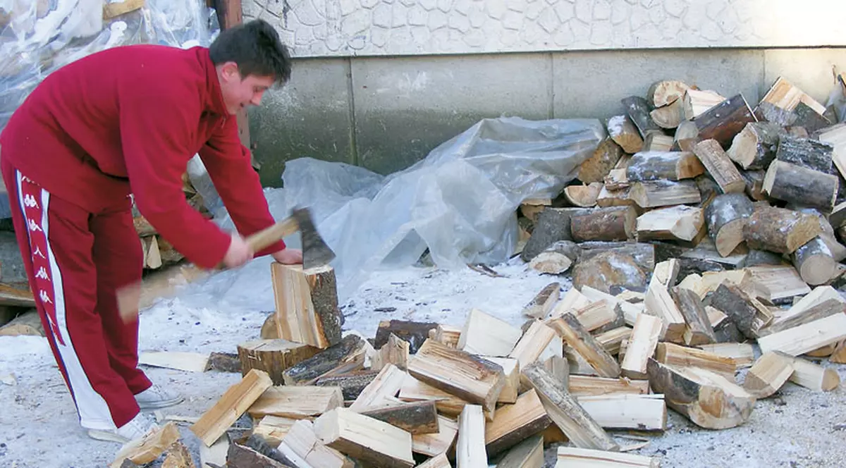 Exportul de lemne de foc, interzis pentru trei ani