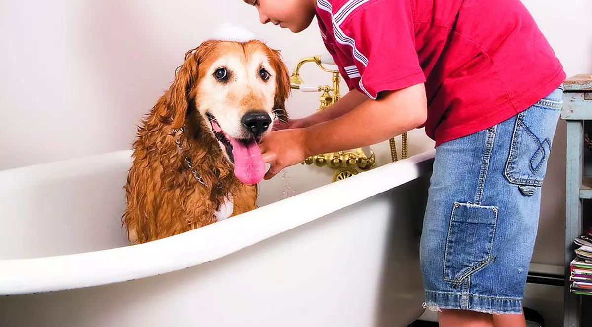 Ce trebuie să ştii despre băiţă