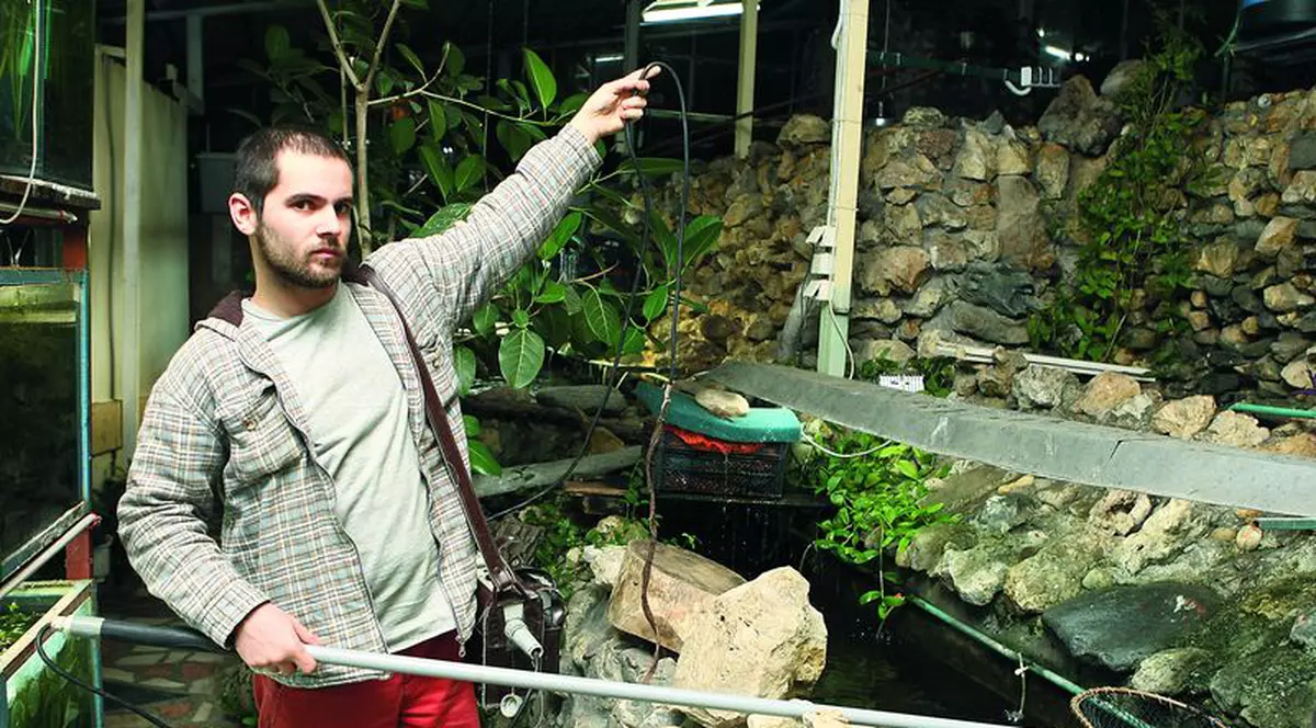 Aparatul pentru numărat peşti