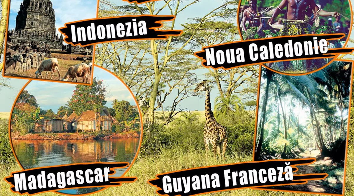 Ce-aţi căutat pe aici, fraţilor?