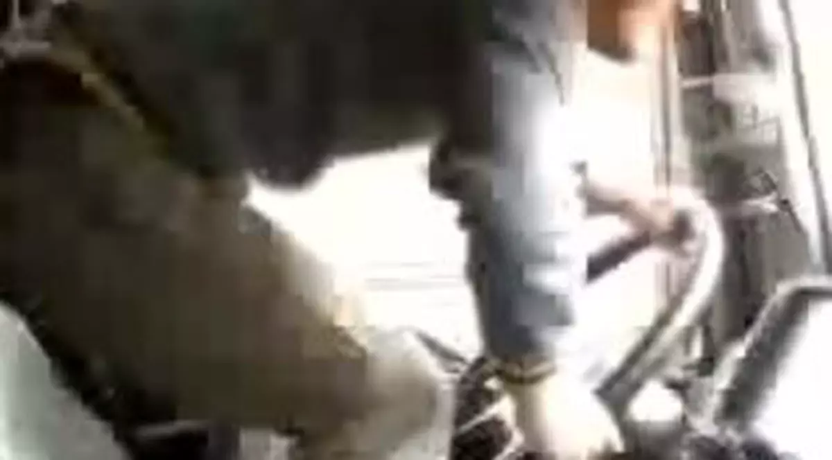 Dansa ”ca la nuntă” în timp ce se afla la volanul unui TIR
