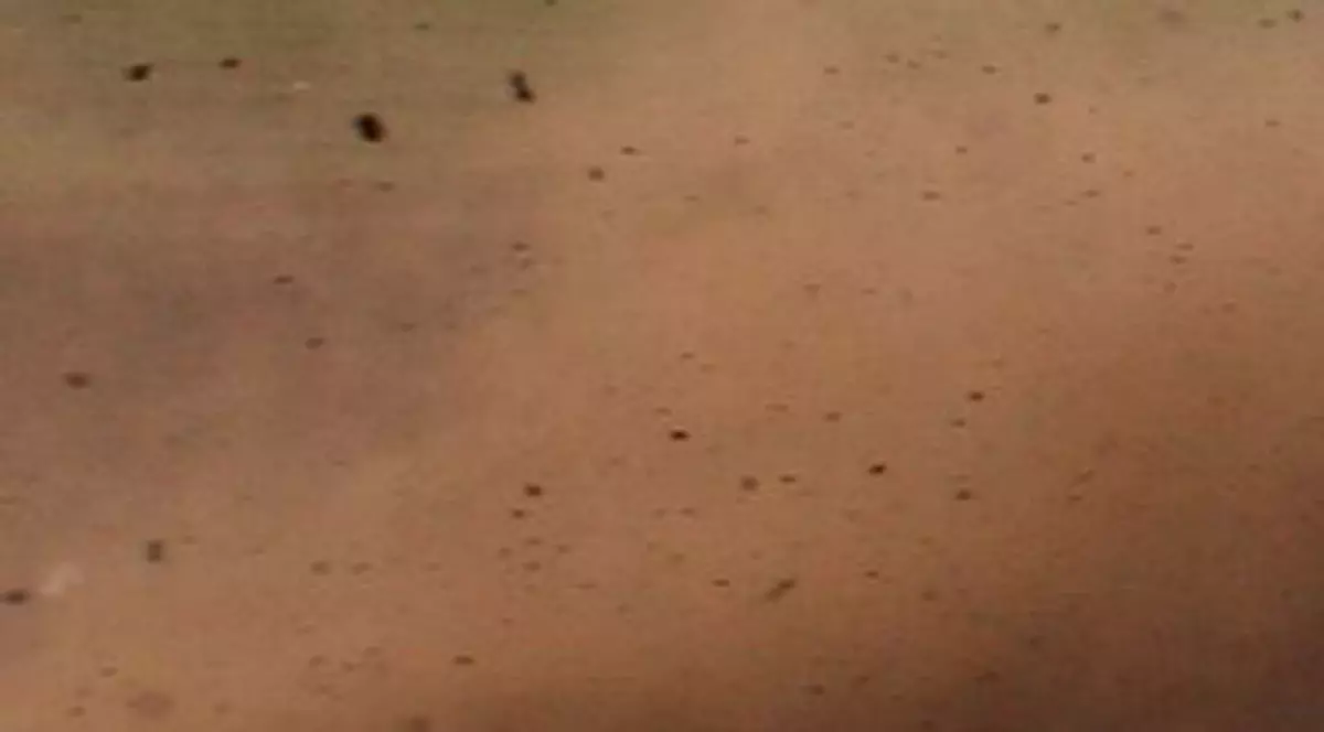 Bulgarii au cel mai poluat aer din UE