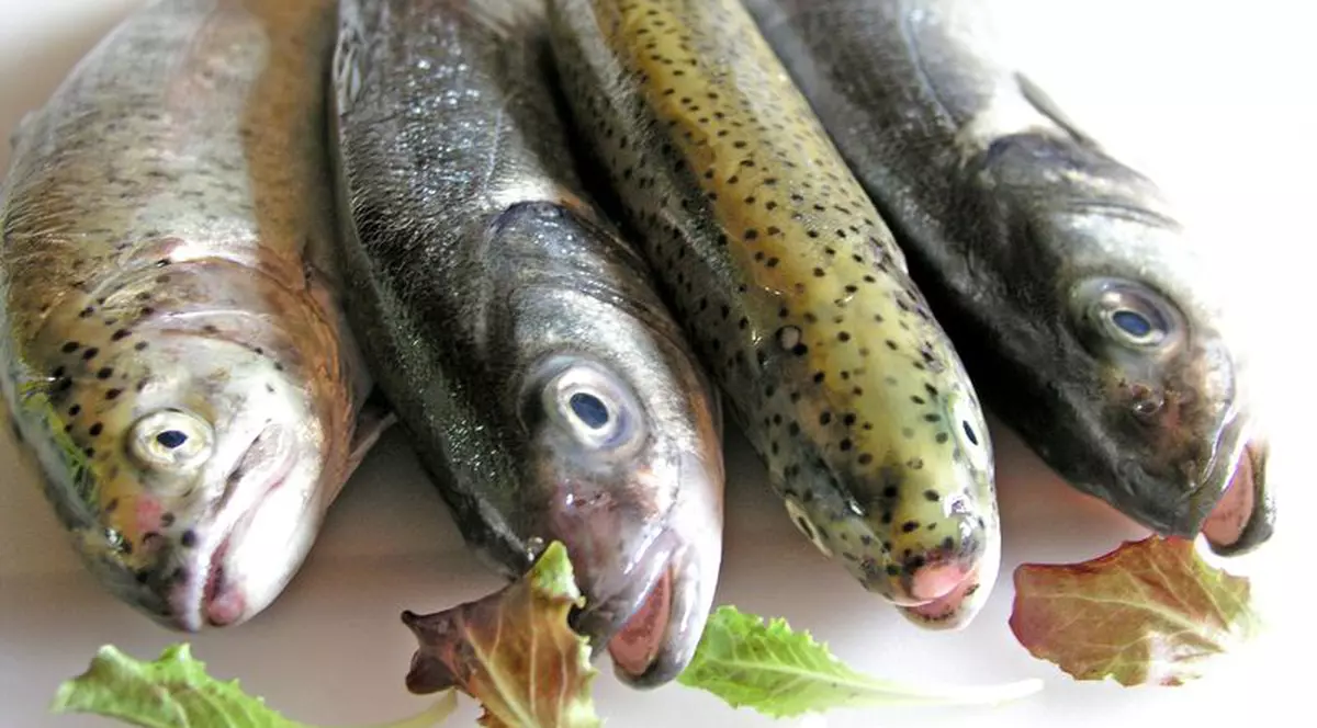 Adolescenţii sunt mai deştepţi dacă mănâncă peşte