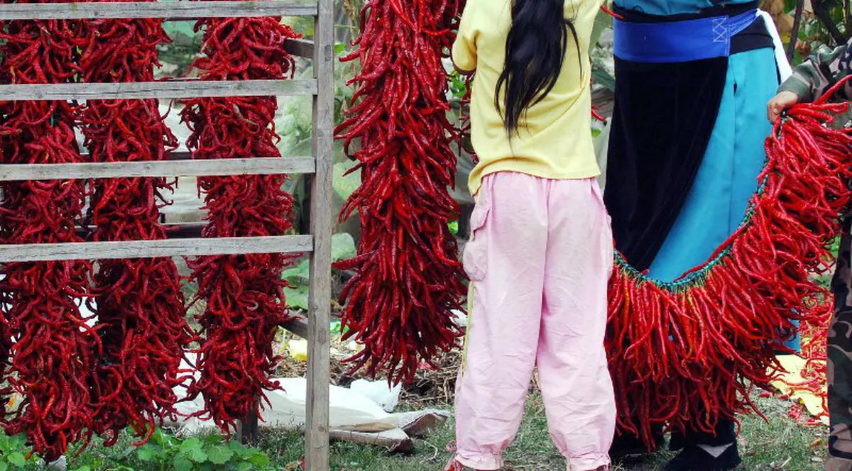 Poliţia trezeşte şoferii cu chilli