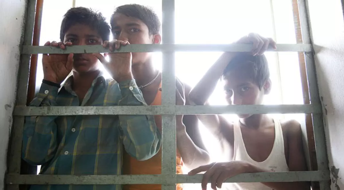 Profesorii i-au pus să se bată