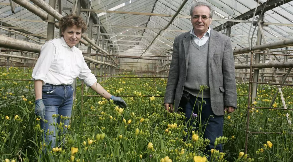 De aici primiţi flori de 8 Martie 